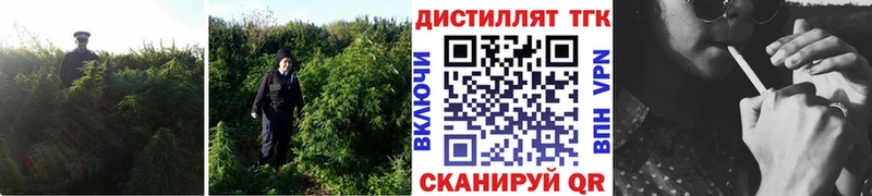 Купить  Заводоуковск  Дистиллят ТГК вейп с тгк 